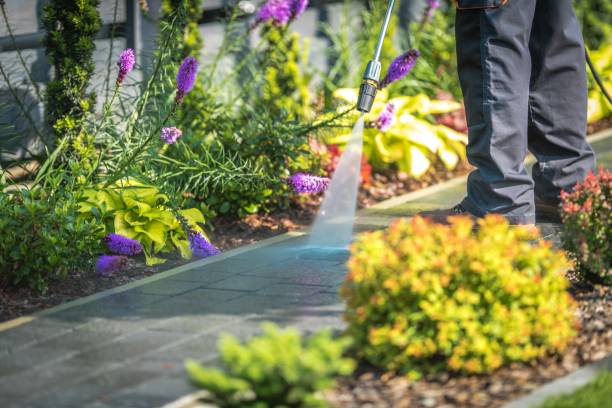 Reliable Mineola, NY Pressure Washing Services Solutions