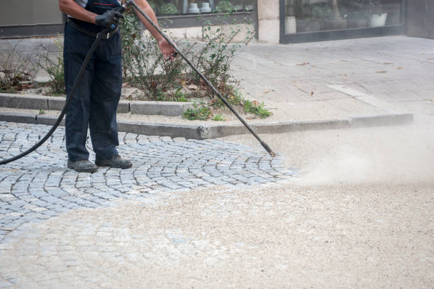 Best Driveway Cleaning and Restoration in Mineola, NY