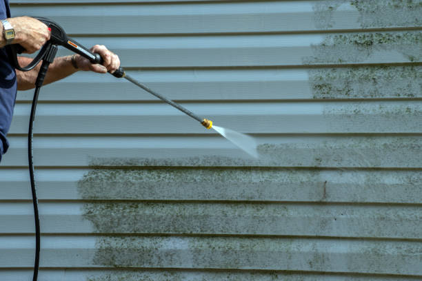 Best Soft Washing for Delicate Surfaces in Mineola, NY
